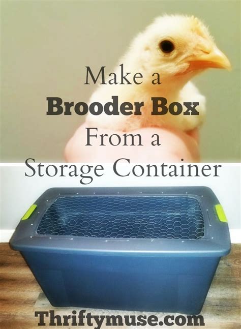 metal brooder box|make your own brooder box.